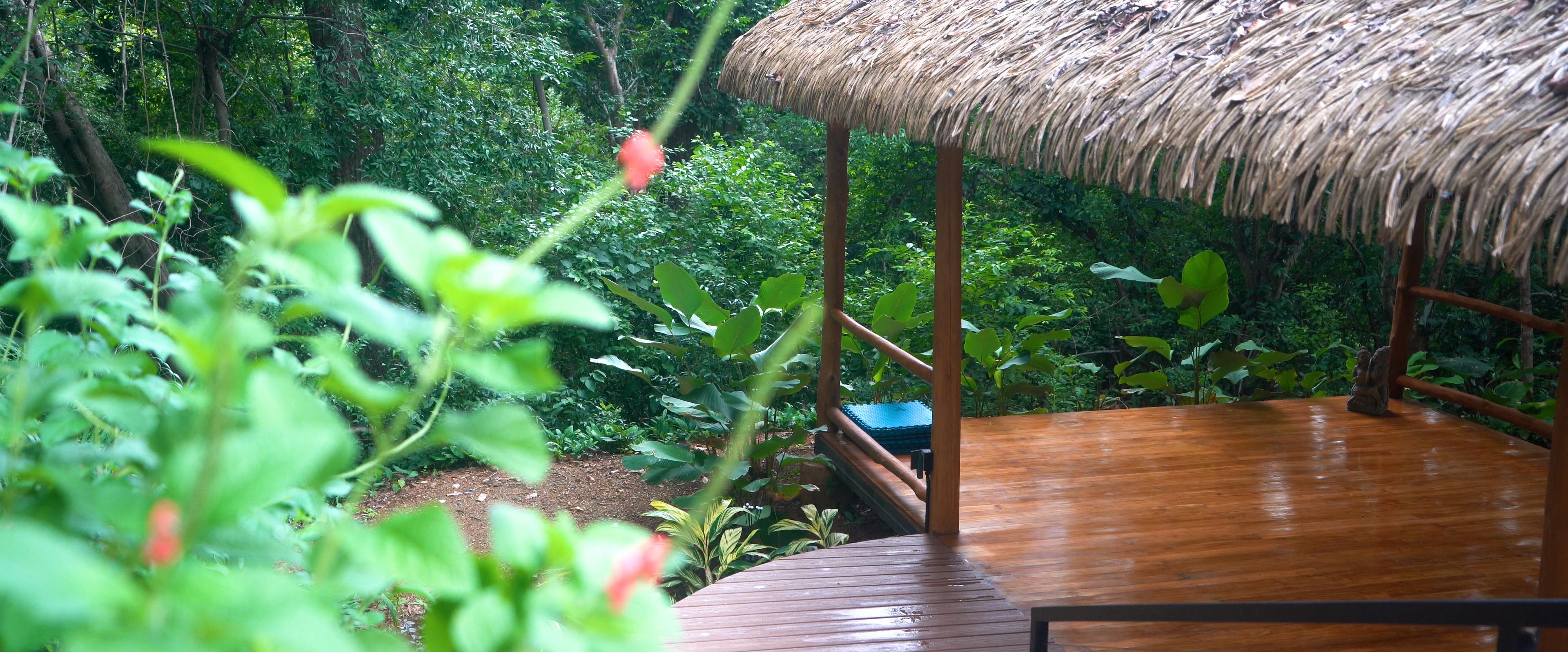 Life at Eden